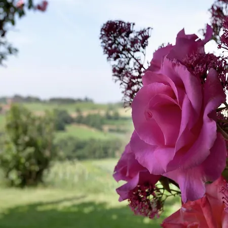 Modern In With Pool Holiday home Foiano Della Chiana