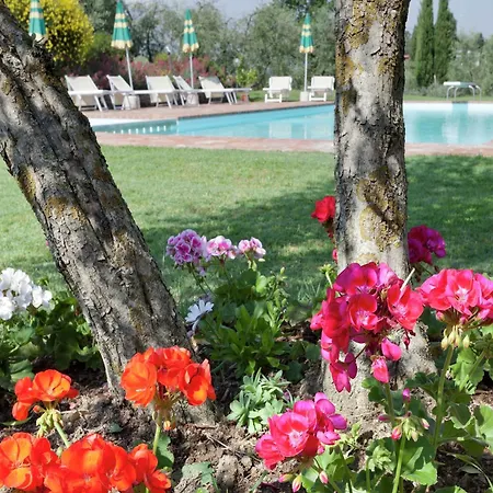 Modern In With Pool Holiday home Foiano Della Chiana